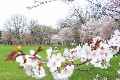 スマートハイムシティ西１２条北６丁目　No.１０ 周辺