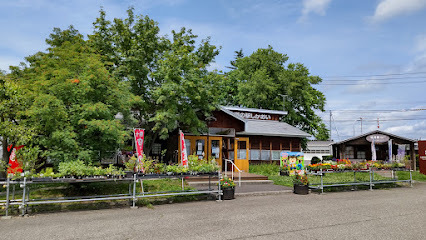 鹿追町泉町１丁目　中古戸建 周辺