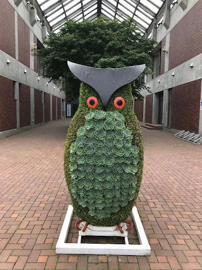 鹿追町鹿追基線　売土地② 周辺