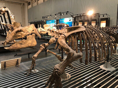 ☆築浅☆足寄町栄町１丁目　中古戸建 周辺