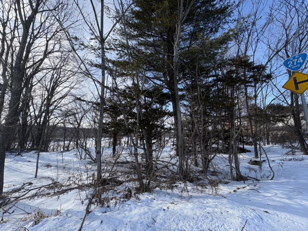 【写真追加】鹿追町鹿追基線　売土地② 内観