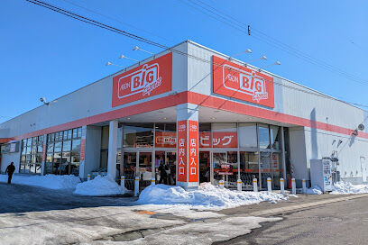 西１９条南２丁目　Ｂ棟　新築平屋 周辺