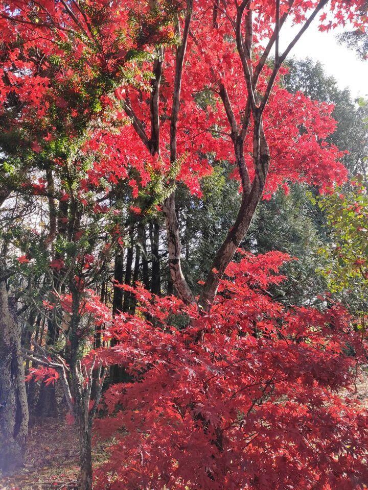 新得町栄町　中古戸建 内観