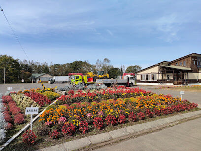 清川町西２線　中古ログハウス 周辺