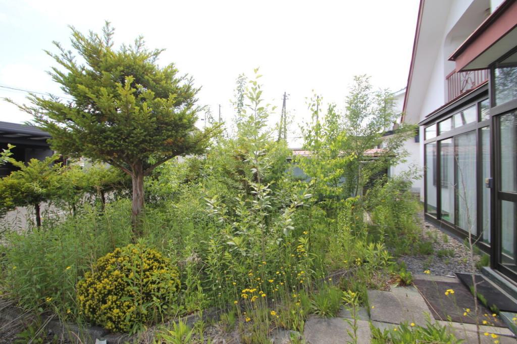 芽室町東６条６丁目　中古戸建 内観
